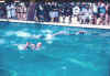 swim1.jpg (101485 bytes)