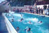 swim5.jpg (98299 bytes)