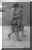 hinchgrey.jpg (260482 bytes)