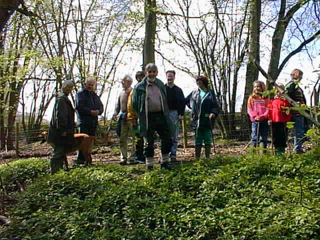 walkers.jpg (69622 bytes)
